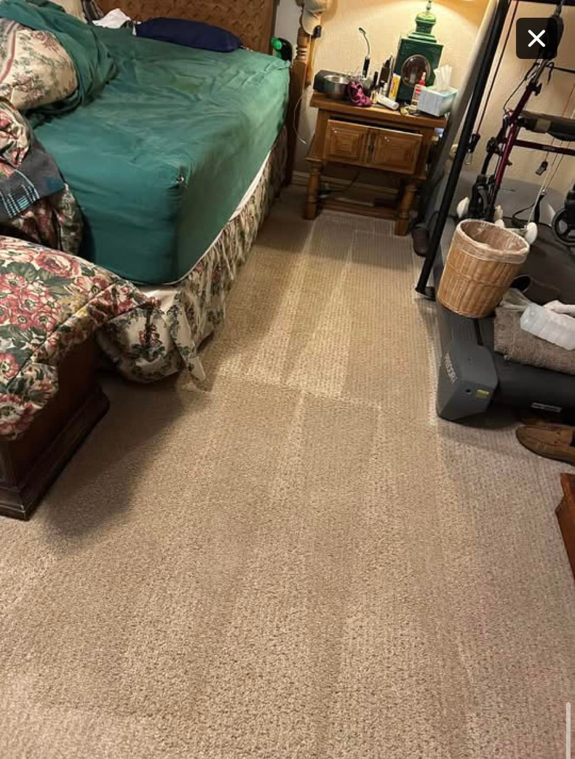 Carpet after professional cleaning